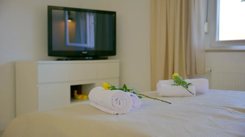 Apartment Ambienta Samobor - 2